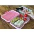 Tapas 5 Compartment - Capri Pink