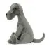 Zues Great Dane