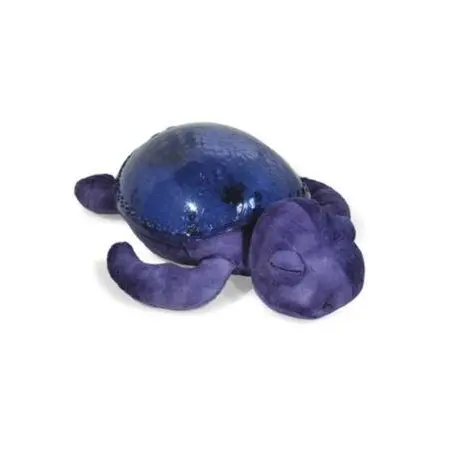 Tranquil Turtle Ocean