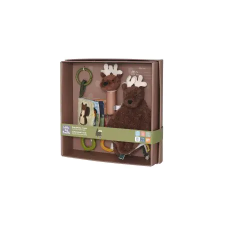 Little Big Friends Baby Gift Box - Forest