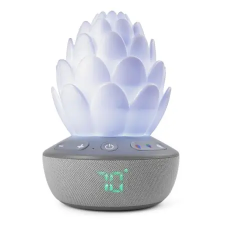 Terra Cry Activiated Succulent Soother