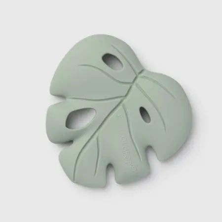 Monstera Seafoam primary