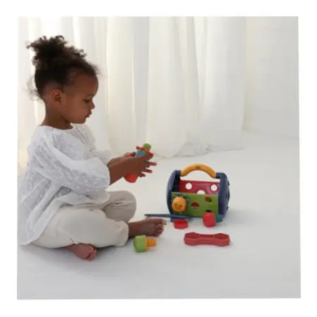 Tolo Bio Tool Box	TLO-76012 19287760125 Tjskids.com