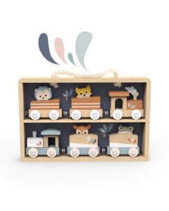 Trains Set Display Case