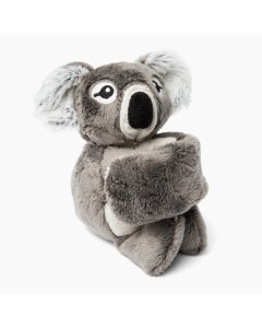 Hug Baby Quinn the Koala
