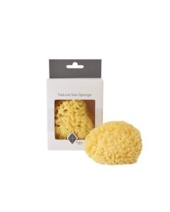 Natural Sea Sponge 4 - 4.5