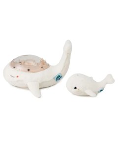 Tranquil Whale - White