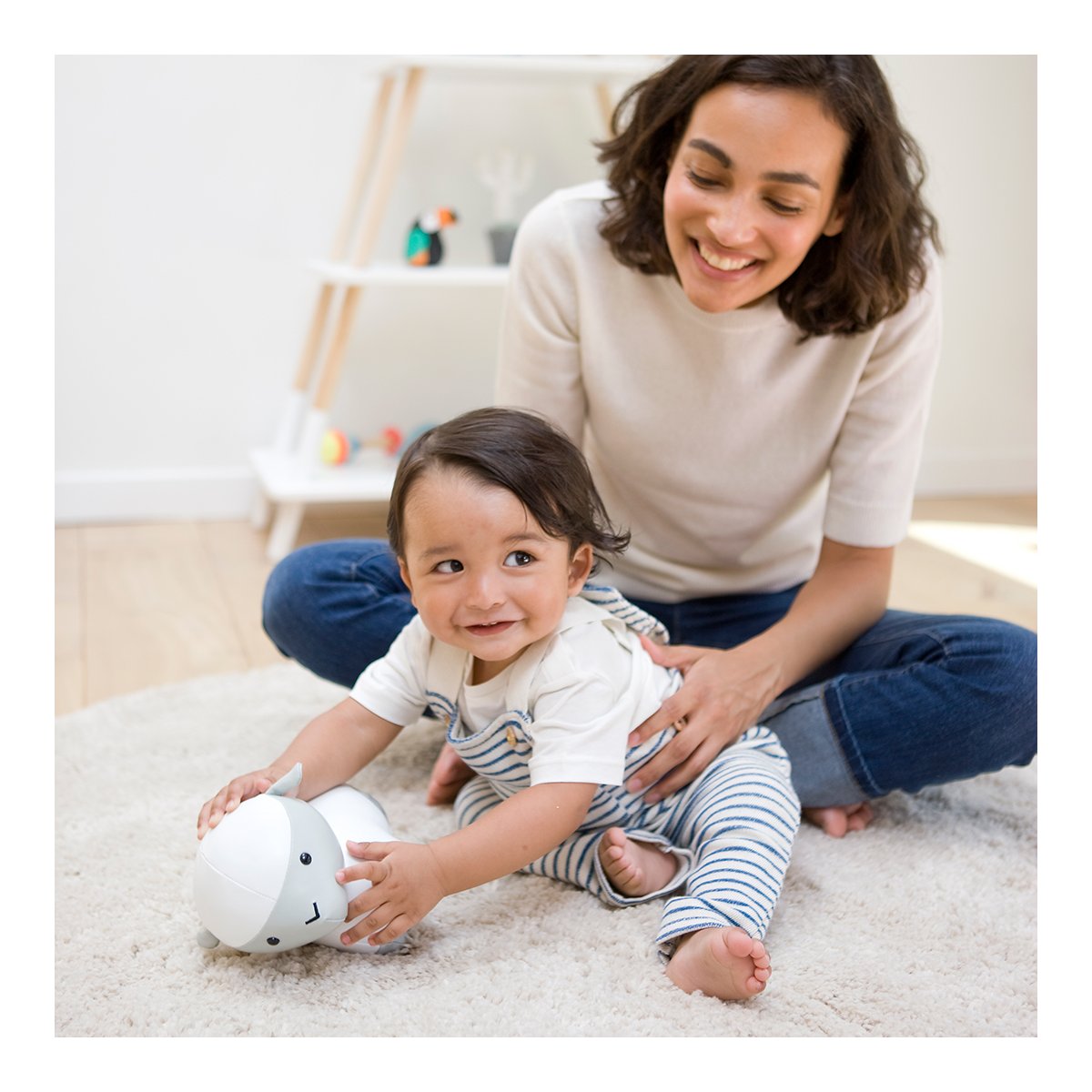 Musical Animal - Simon The Sheep