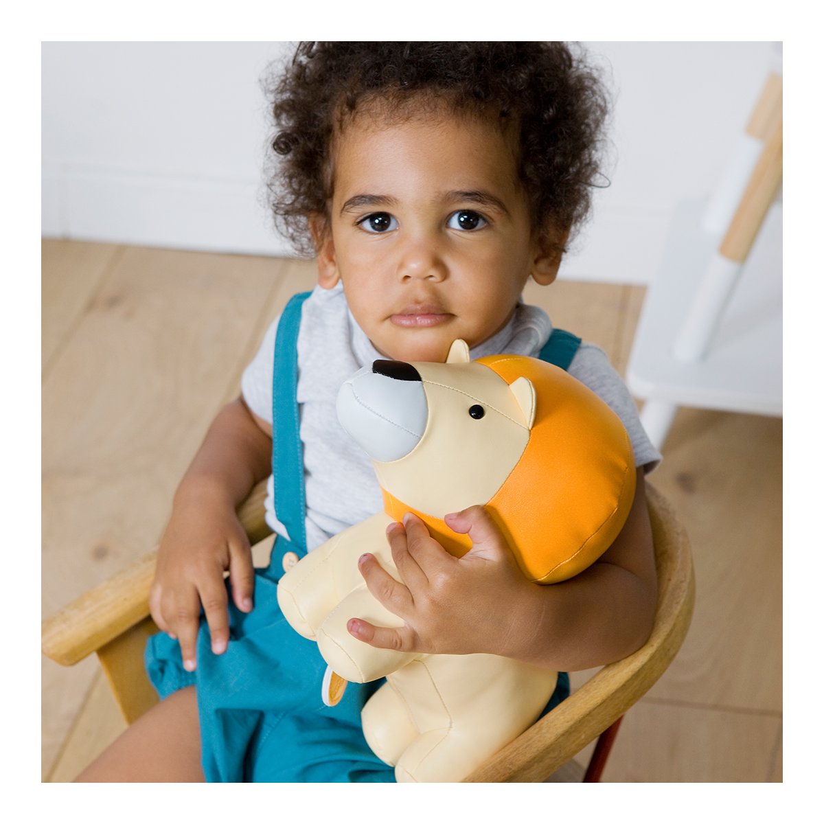 Musical Animal - Jackson The Lion