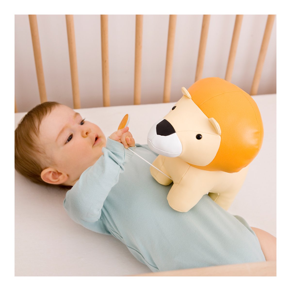 Musical Animal - Jackson The Lion