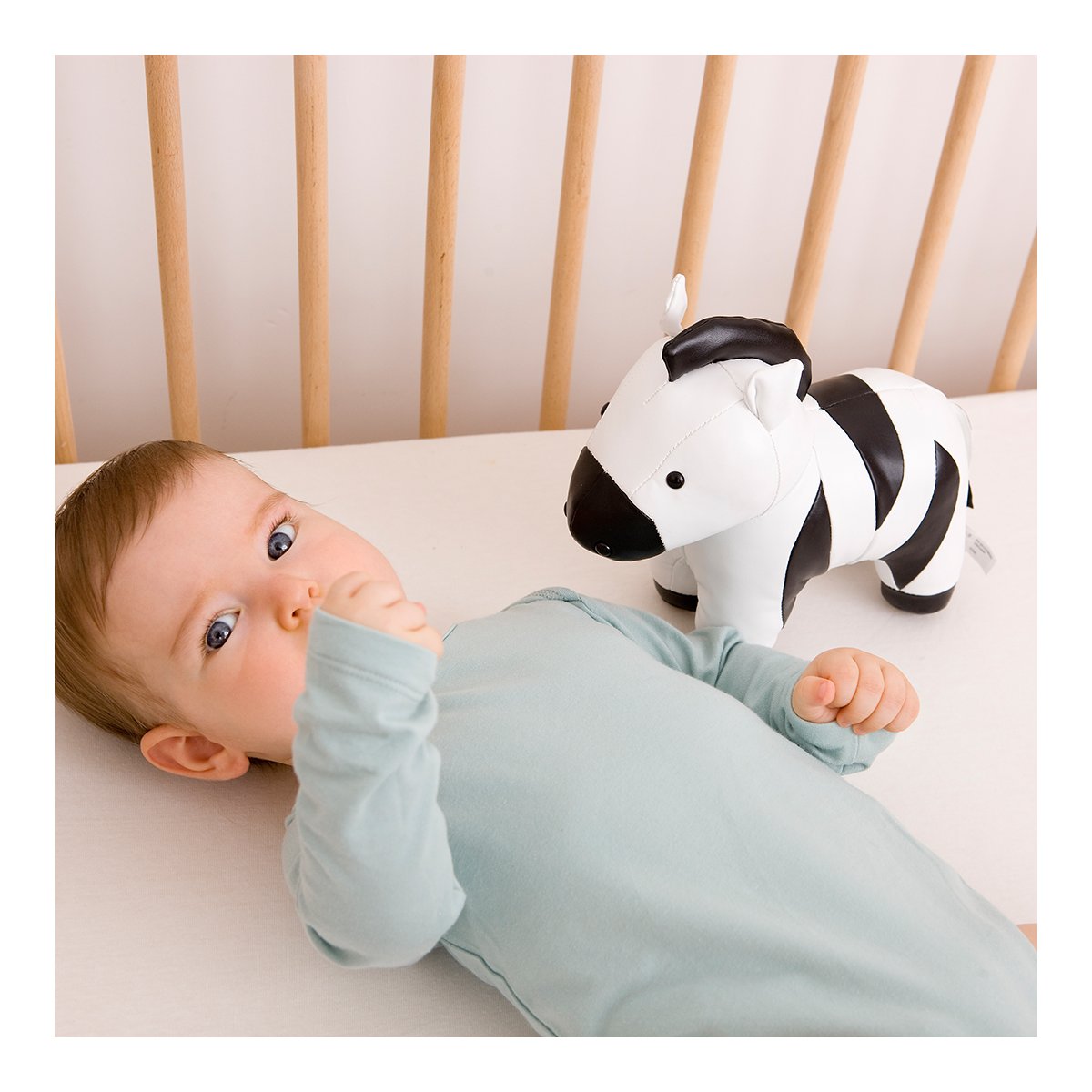 Musical Animal - Robert The Zebra