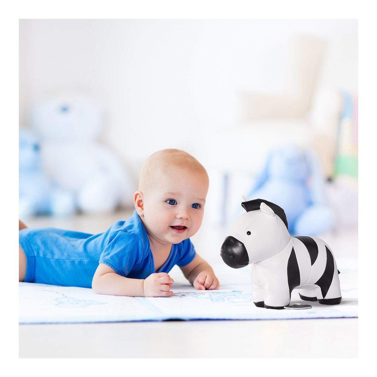 Musical Animal - Robert The Zebra