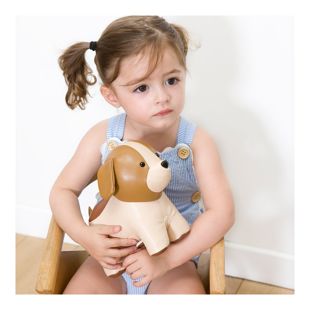 Musical Animal - Adrien the Dog