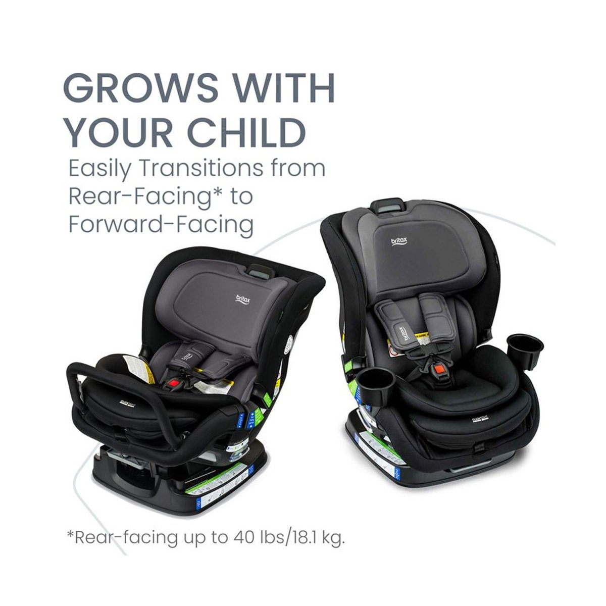 Poplar Convertible Car Seat - Stone Onyx