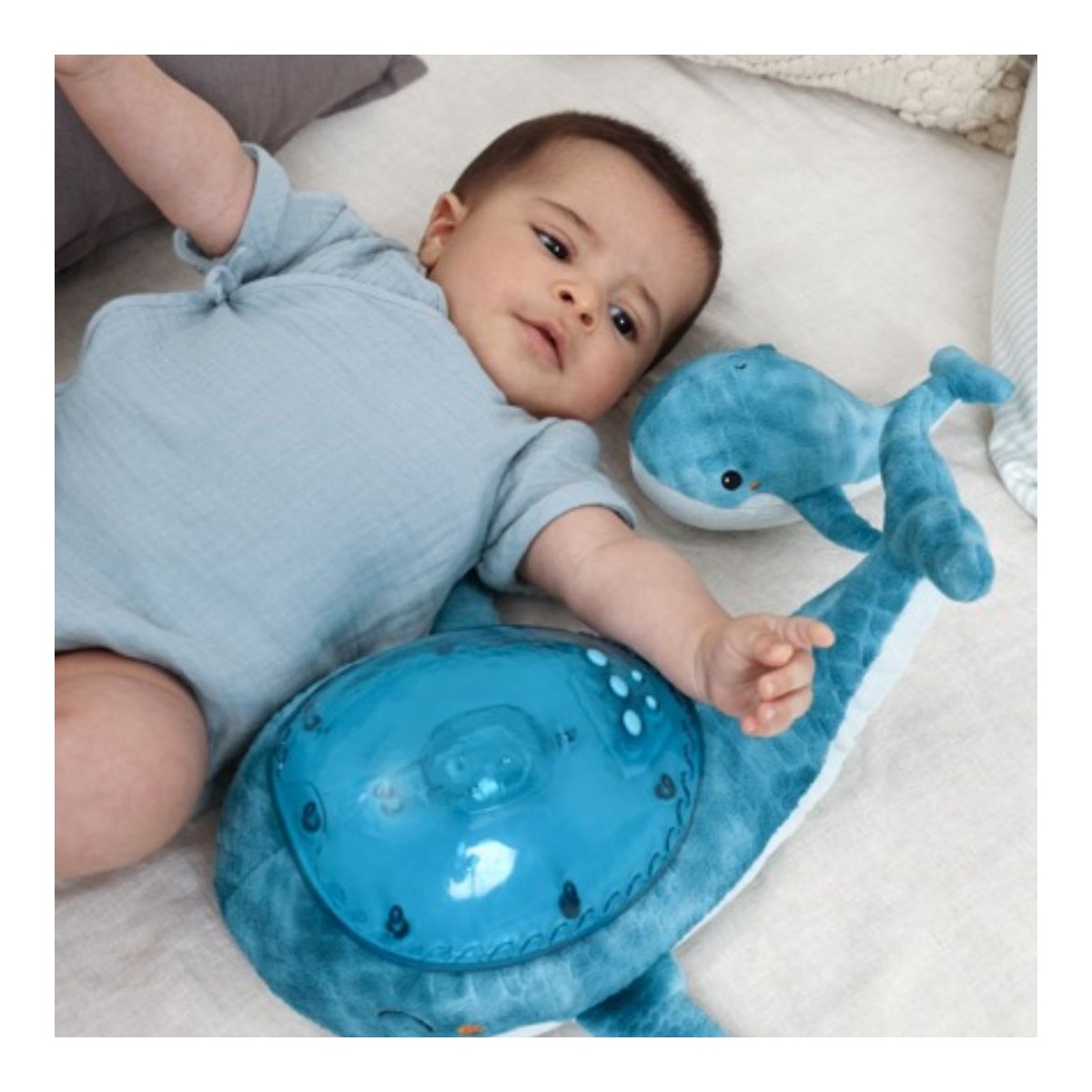 Tranquil Whale - Blue