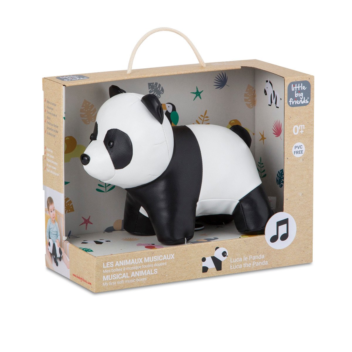 Musical Animal - Luca the Panda