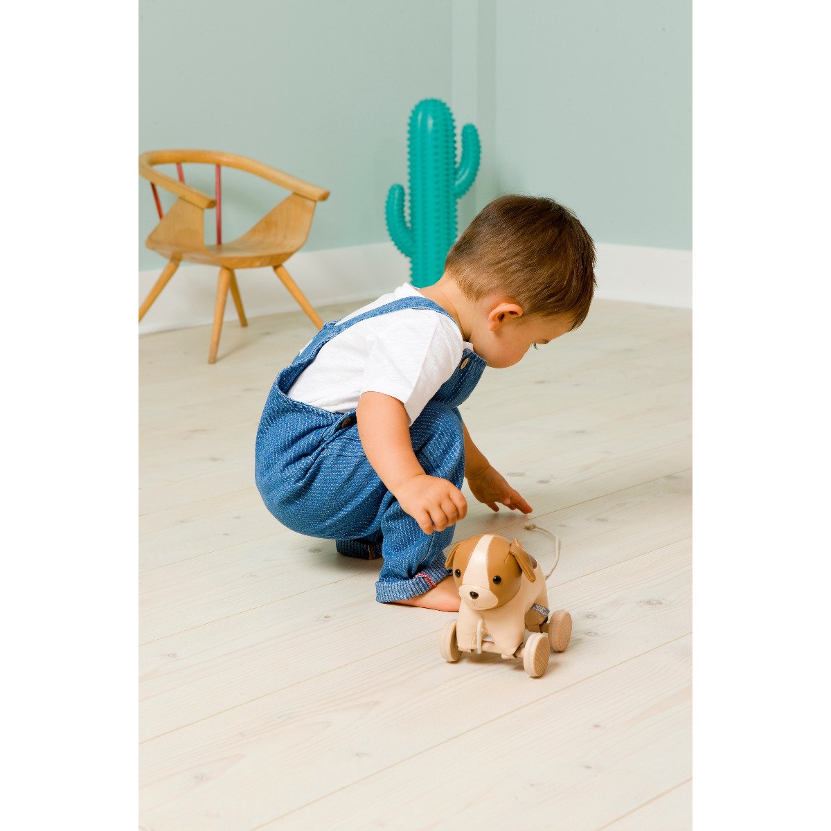 Pull Along Toy - Adrien the Dog