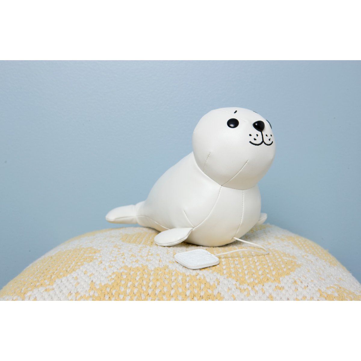 Musical Animals - Elliot the Seal