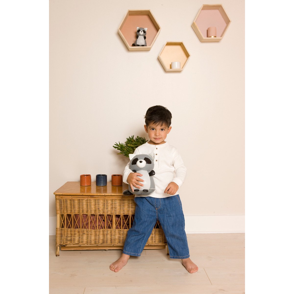 Musical Animals - Denver the Racoon