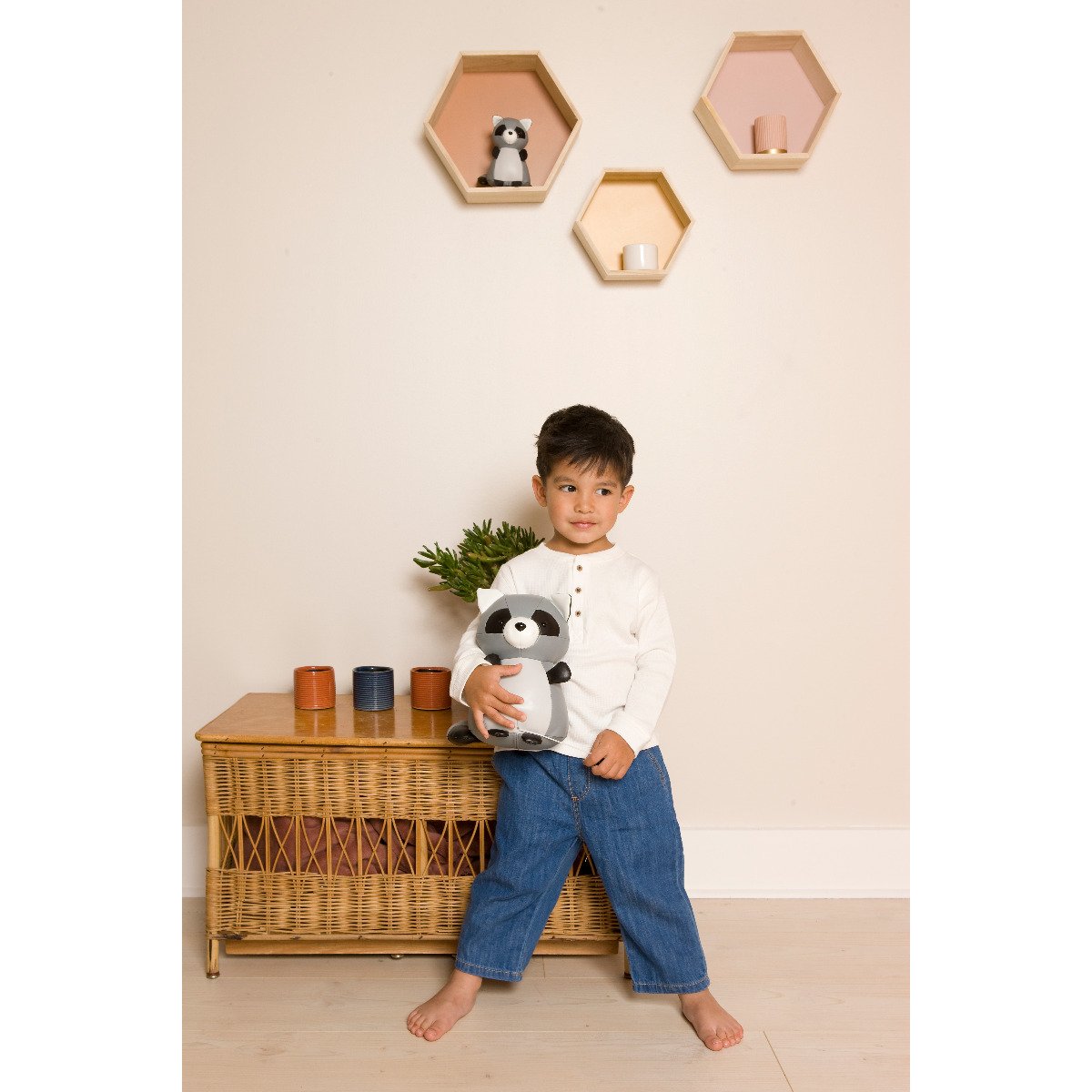 Musical Animals - Denver the Racoon