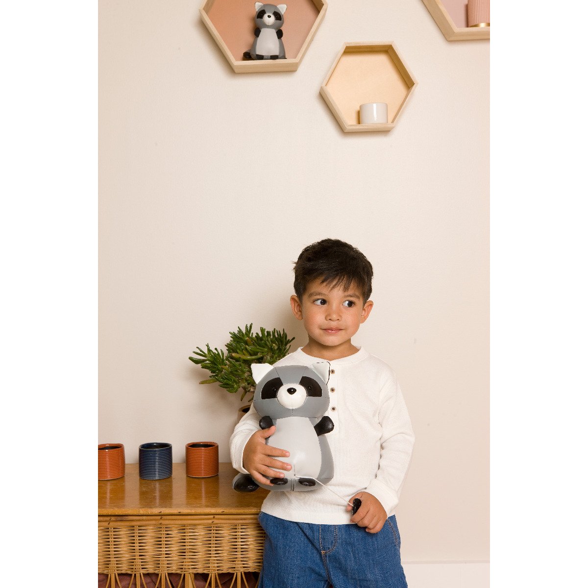 Musical Animals - Denver the Racoon