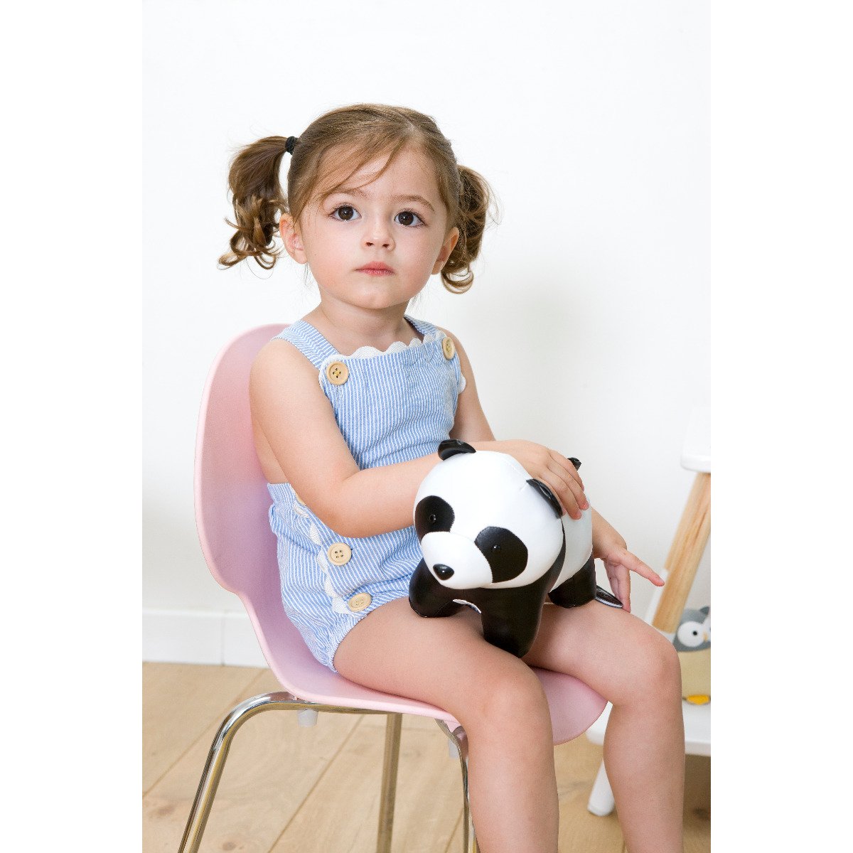 Musical Animal - Luca the Panda