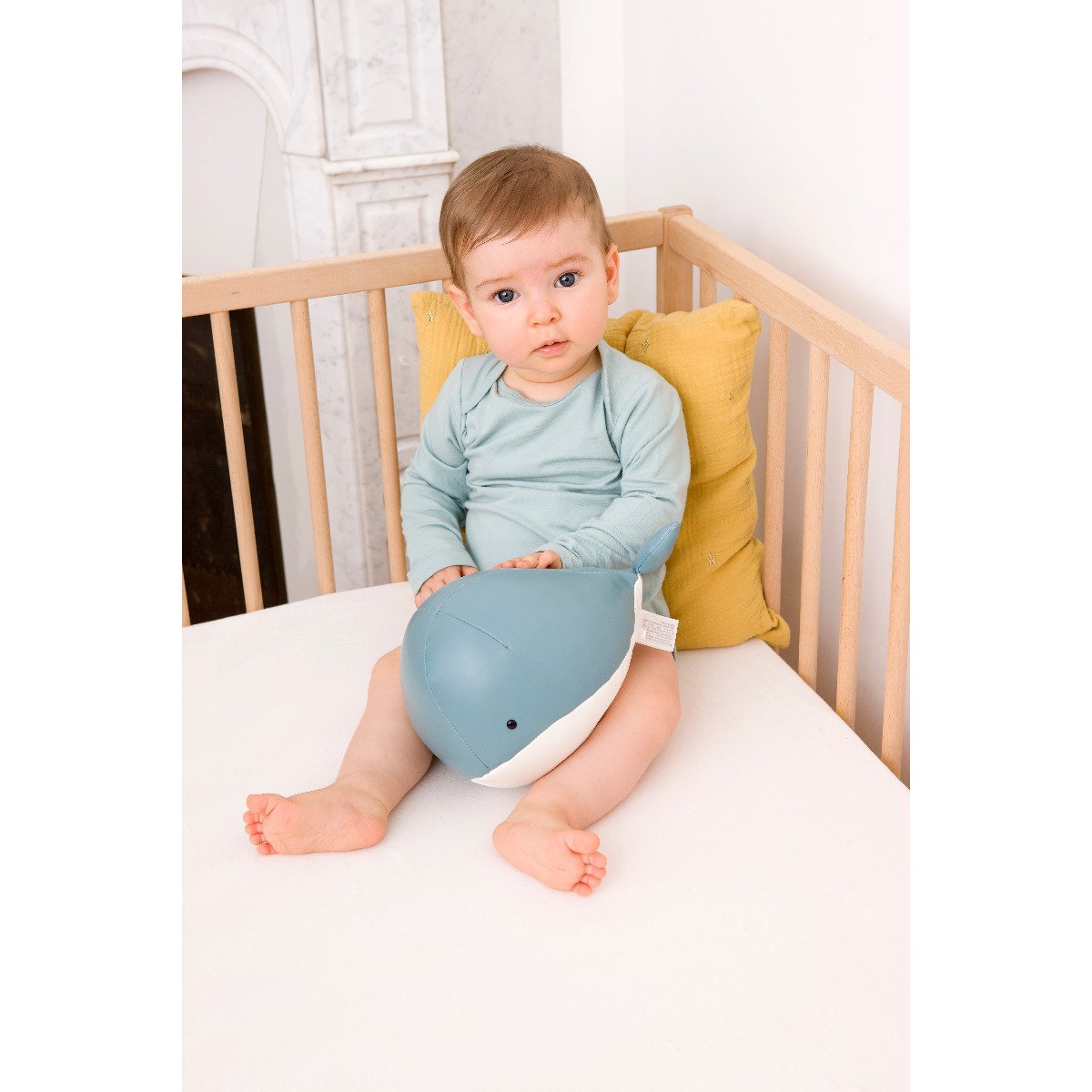 Musical Animal - Madeleine The Whale