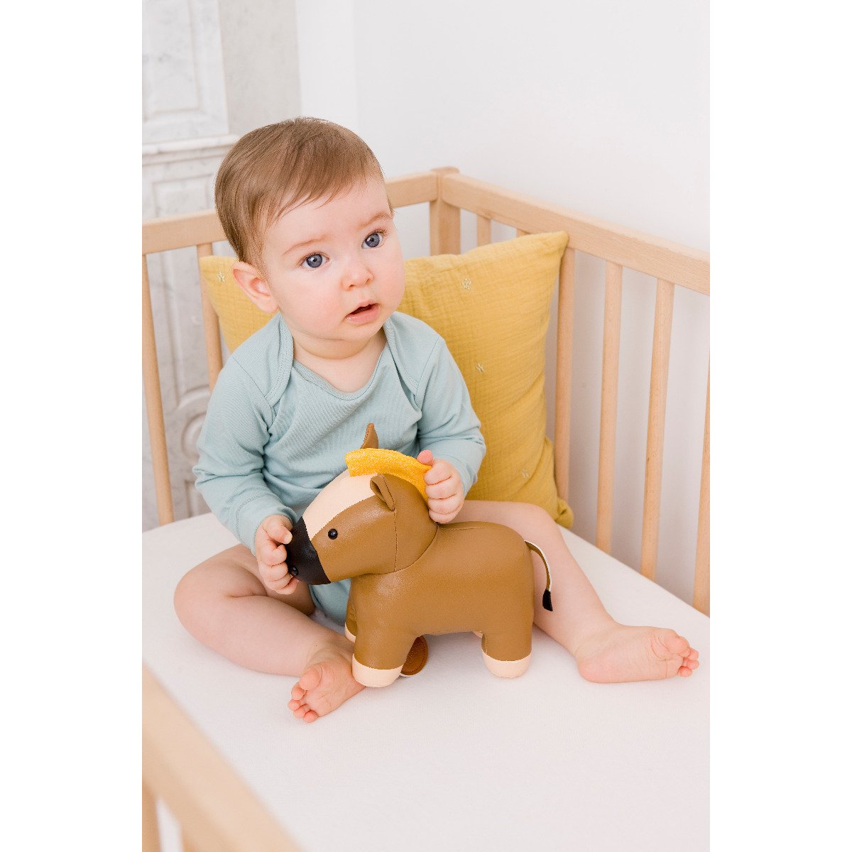 Musical Animal - Charles The Horse