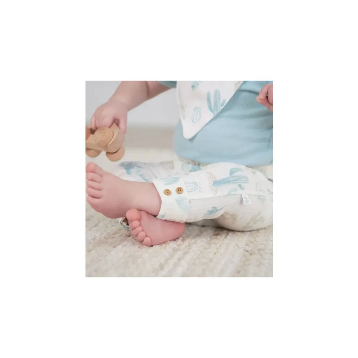 2 Pack Pants - Desert Cactus