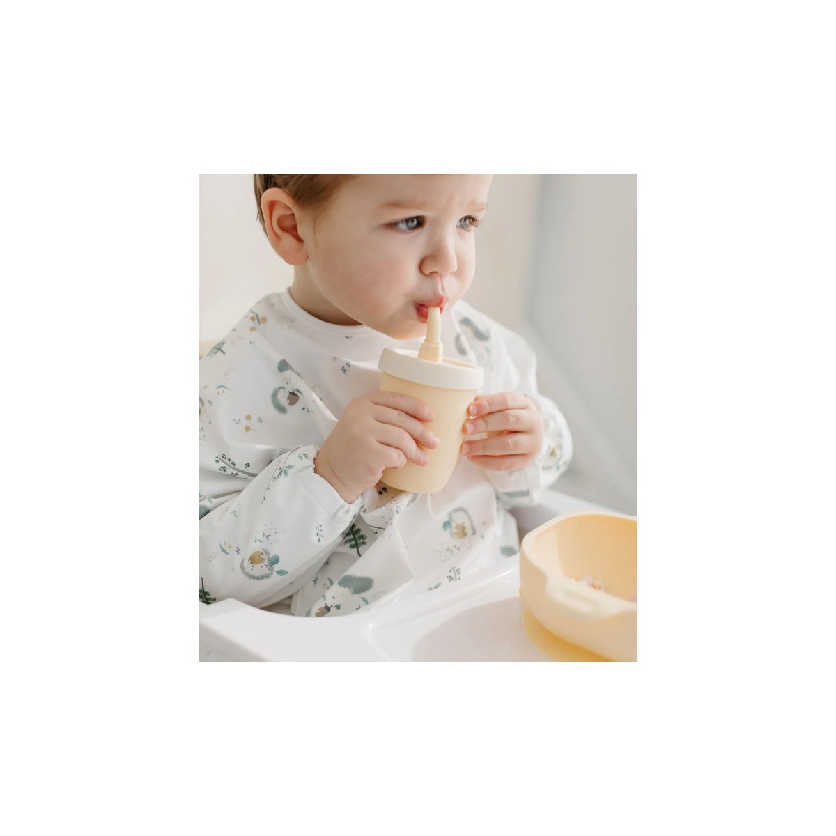 Long Sleeve Waterproof Bib - Hedgehogs