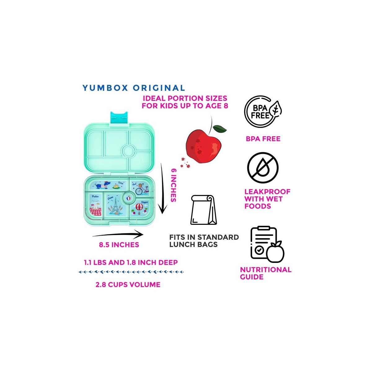 Original 6 Compartment - Serene Aqua