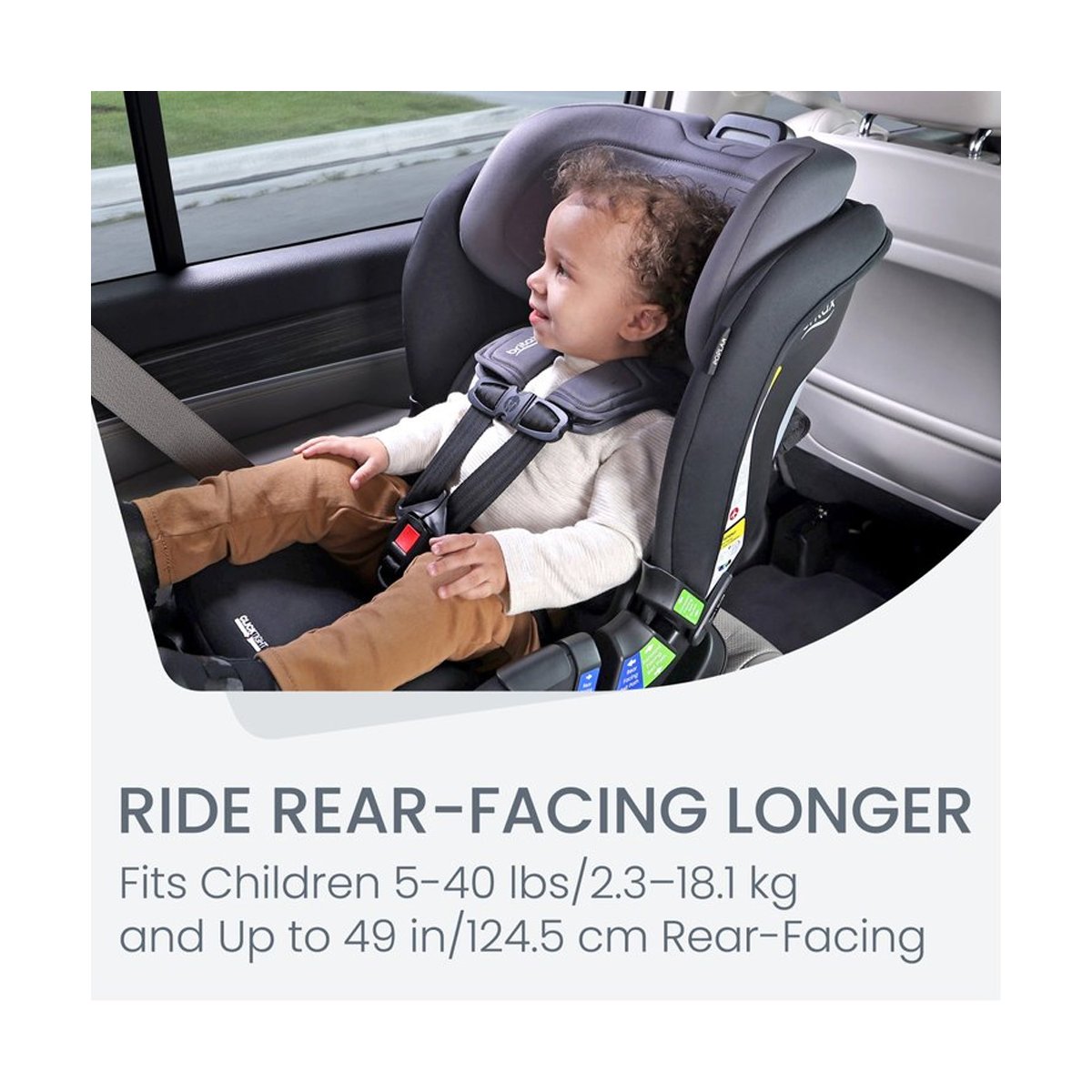 Poplar Convertible Car Seat - Stone Onyx