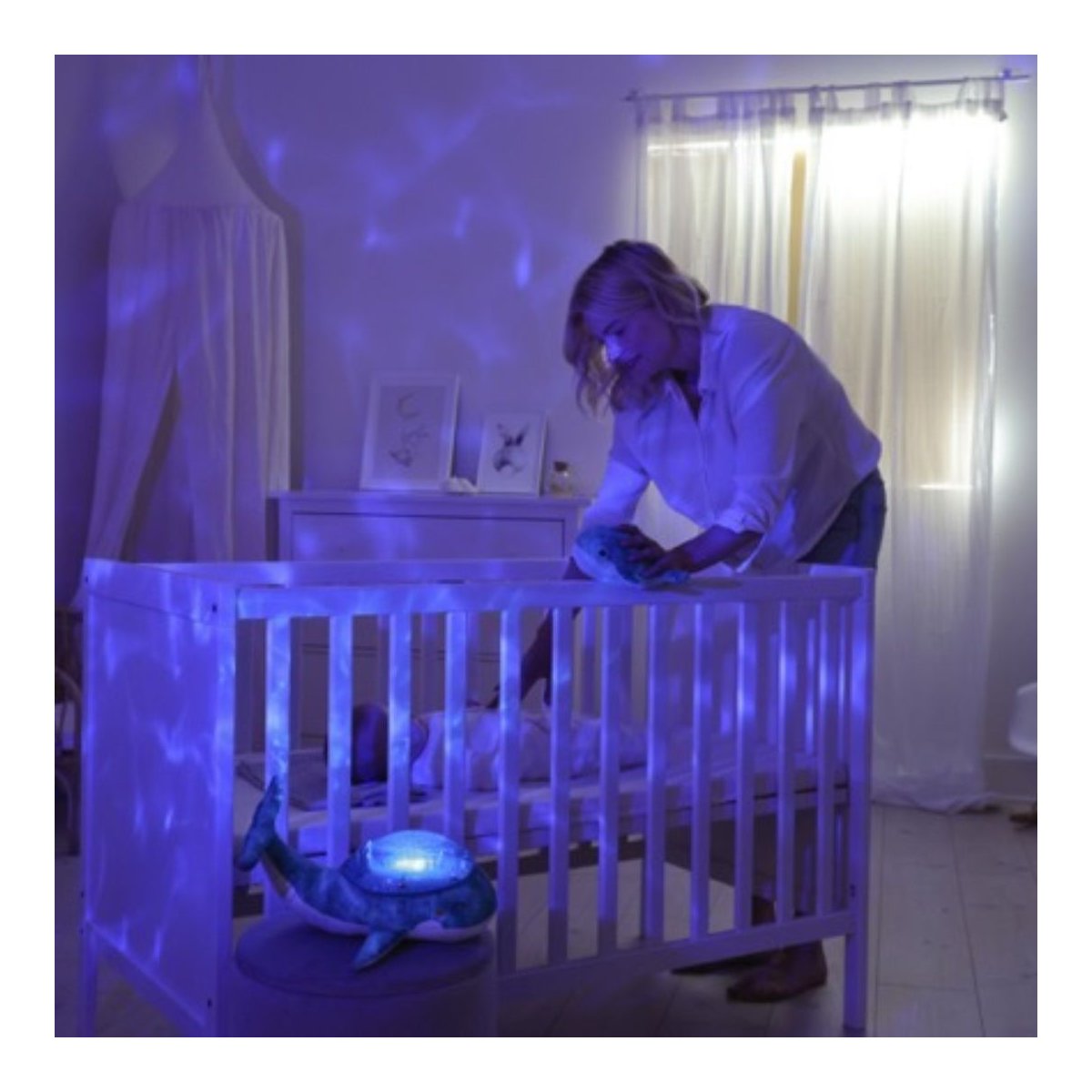 Tranquil Whale - Blue