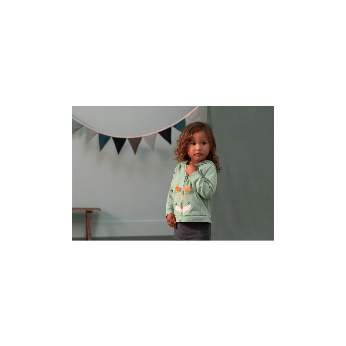 2 Piece Hoodie + Pant - Fox