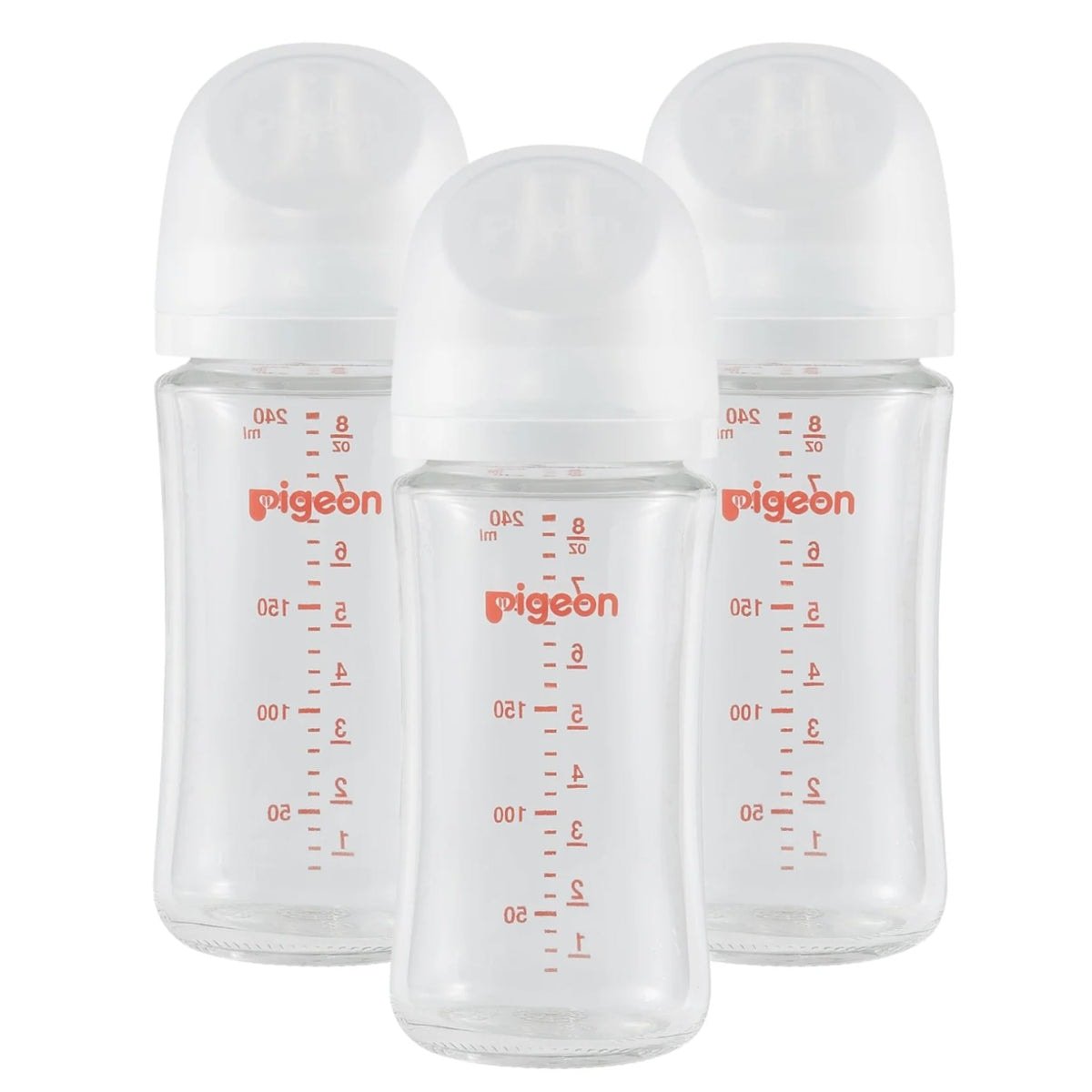 Glass Bottle 3 Pack 8oz