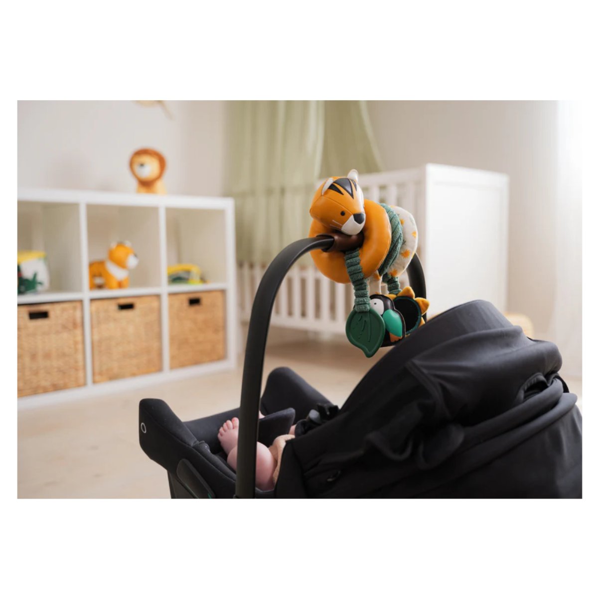 Activity Spiral - Jungle