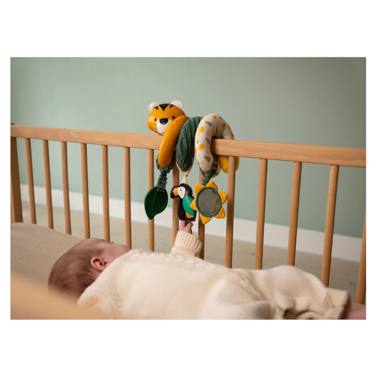 Activity Spiral - Jungle