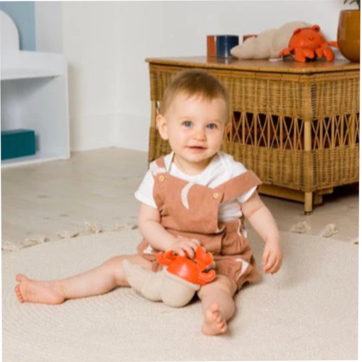 Tiny Friends - Hermit Crab