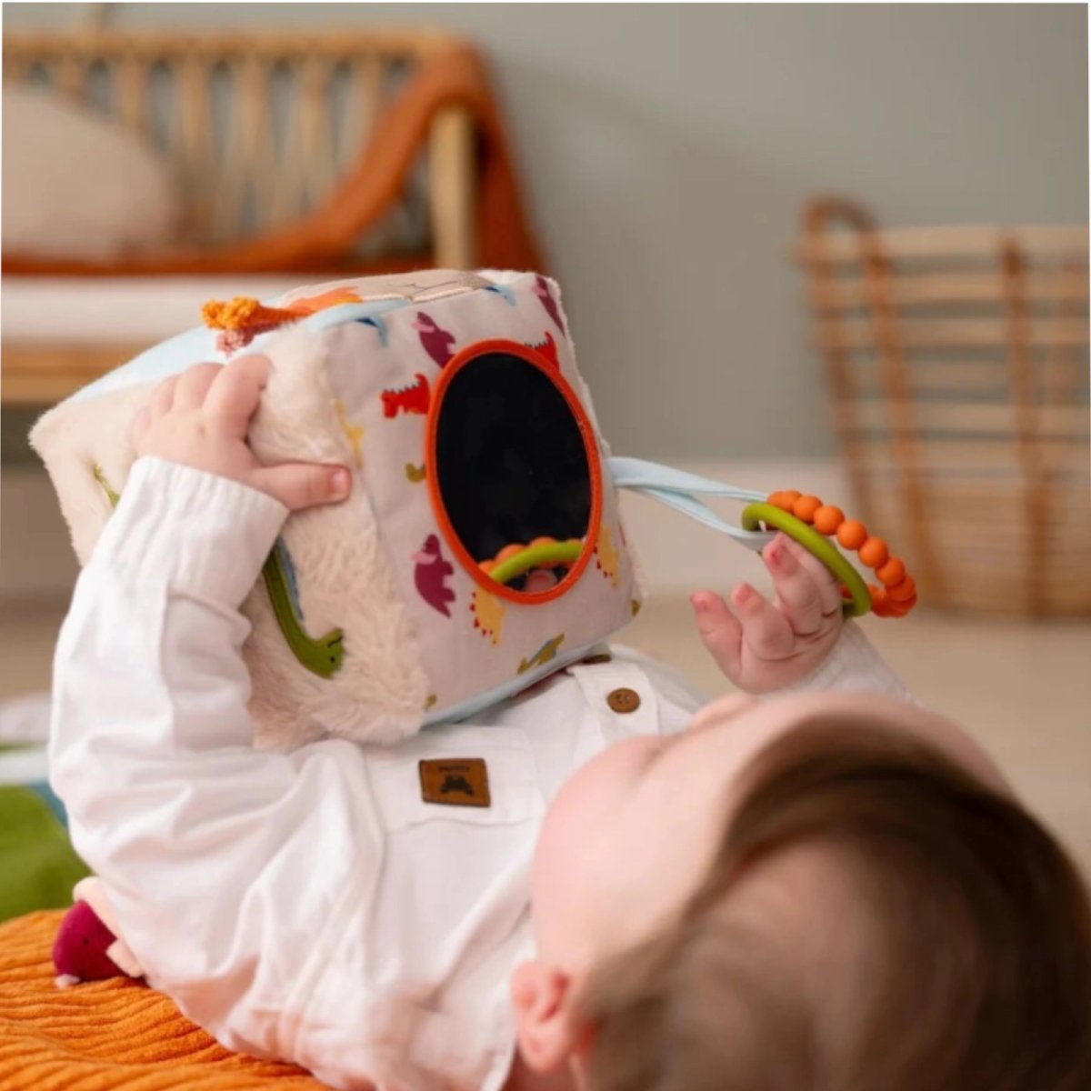 Activity Cube - Dino