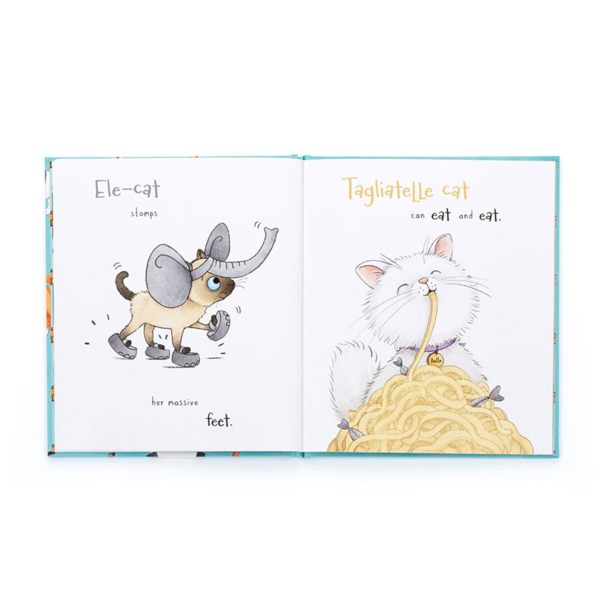 All Kinds Of Cats Book