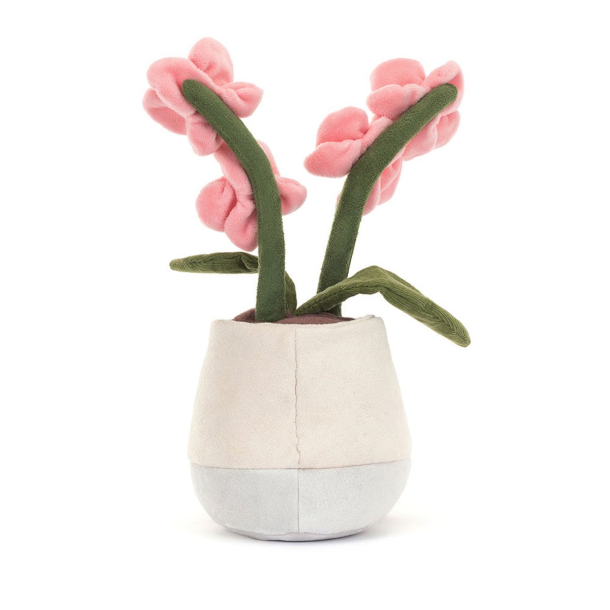 Amuseable Pink Orchid