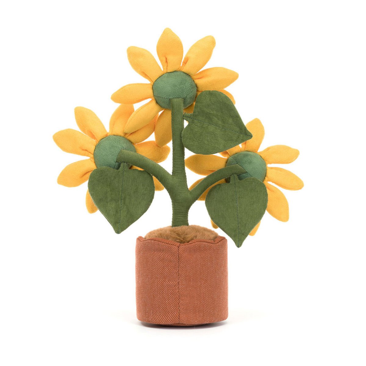 Amuseable Sunflower