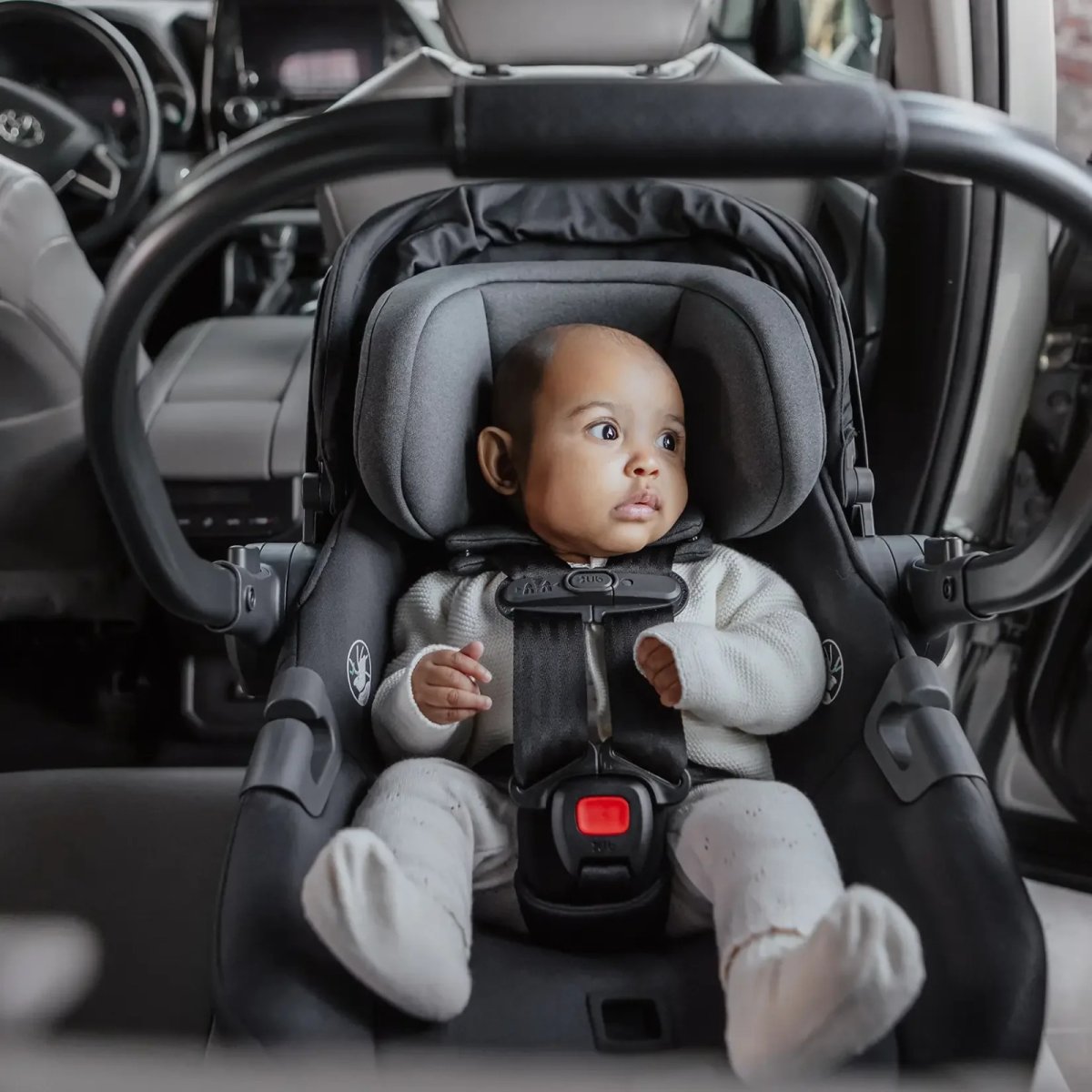 Aria V2 Infant Car Seat - Evelyn