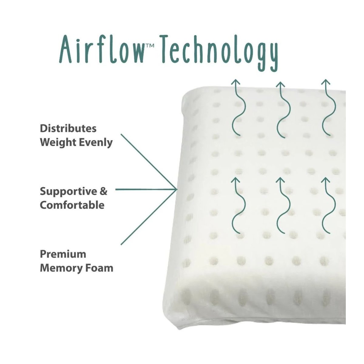 Toddler Pillow with Bamboo Pillow Case