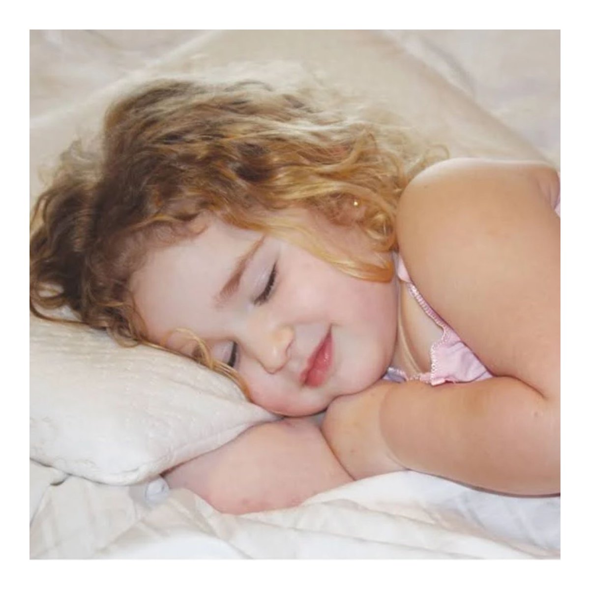 Toddler Pillow with Bamboo Pillow Case