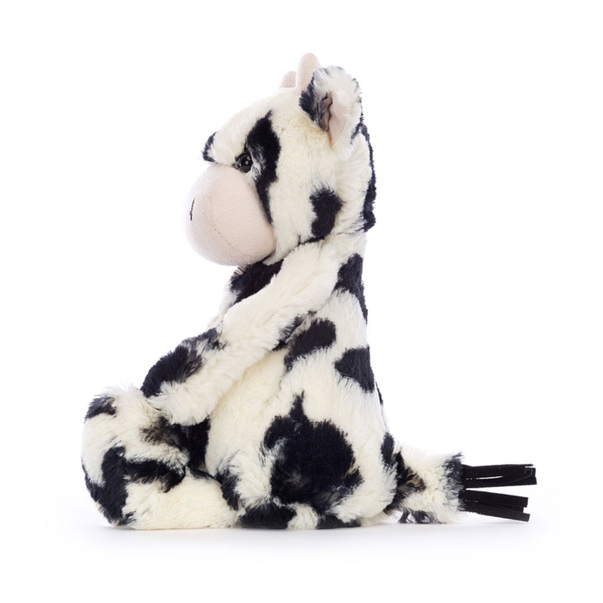 Bashful Calf Original