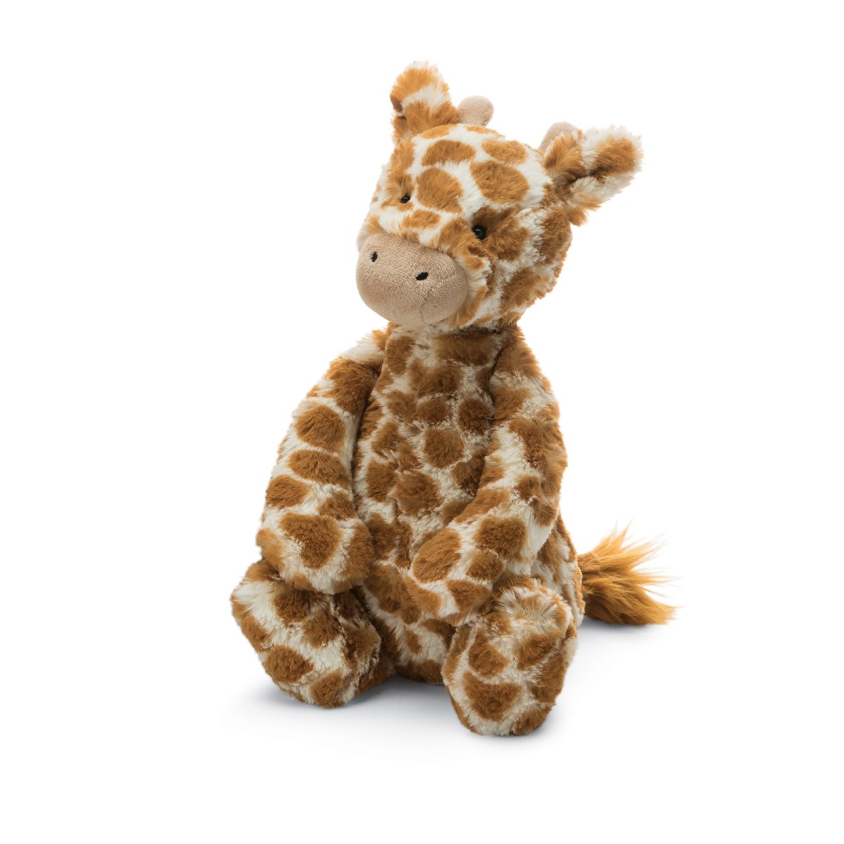 Bashful Giraffe