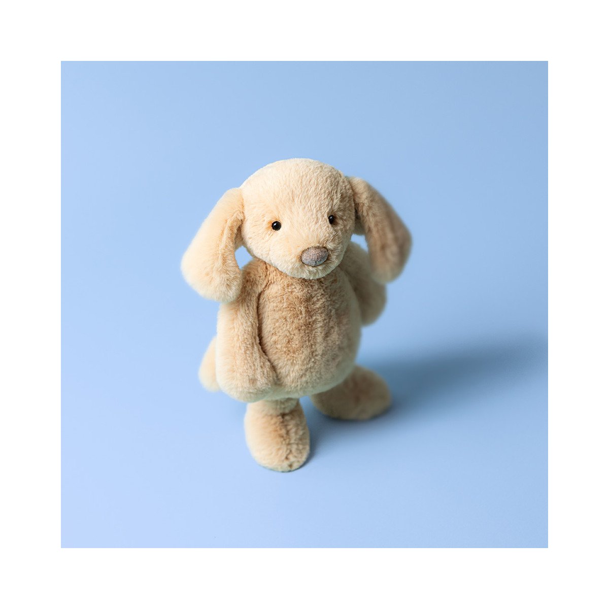 Bashful Luxe Puppy Orlando Original