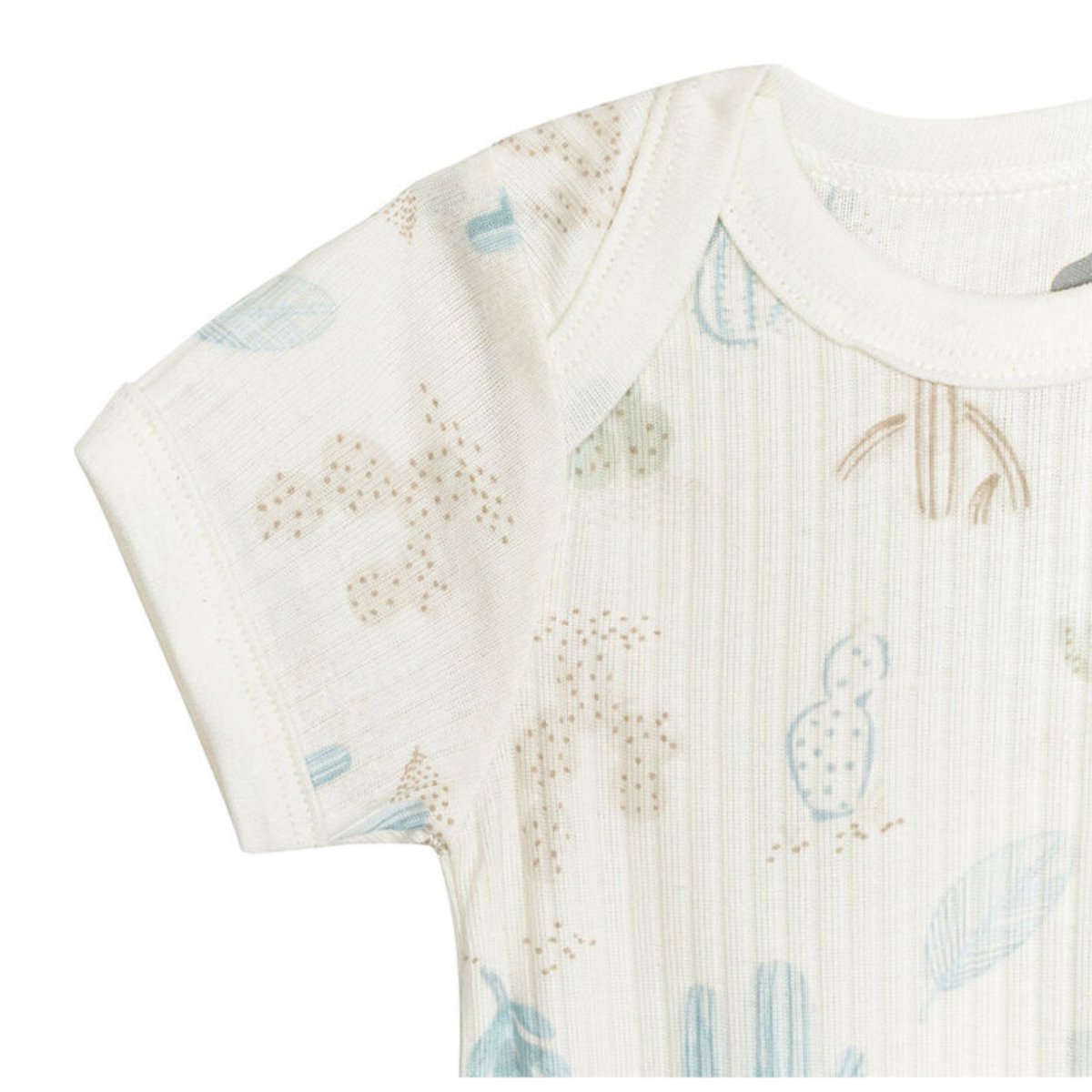 Bodysuit 3 Pack - Desert Cactus