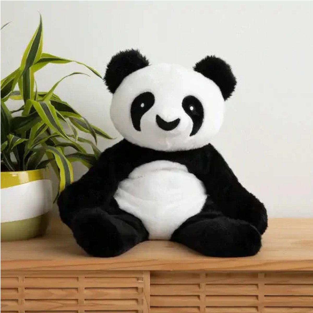 Bowie the Panda